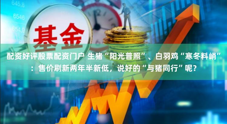 配资好评股票配资门户 生猪“阳光普照”、白羽鸡“寒冬料峭”：售价刷新两年半新低，说好的“与猪同行”呢？